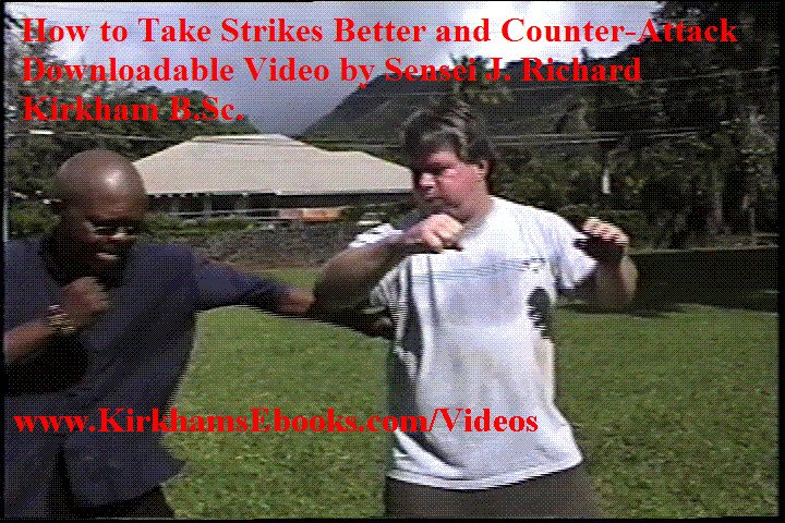 Taking Strikes Better 4 Self-Defense icon